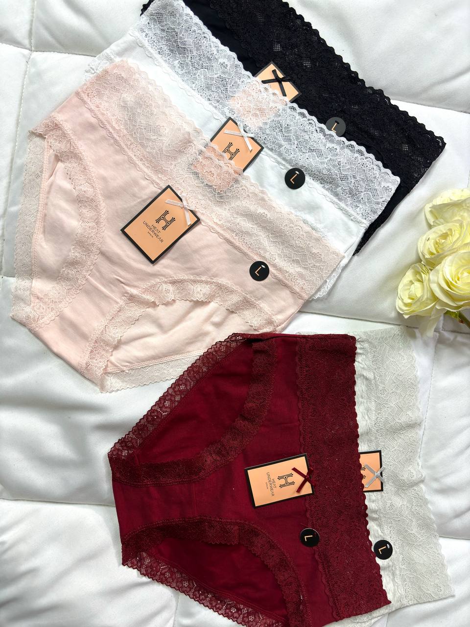 Culotte Coton HX90067